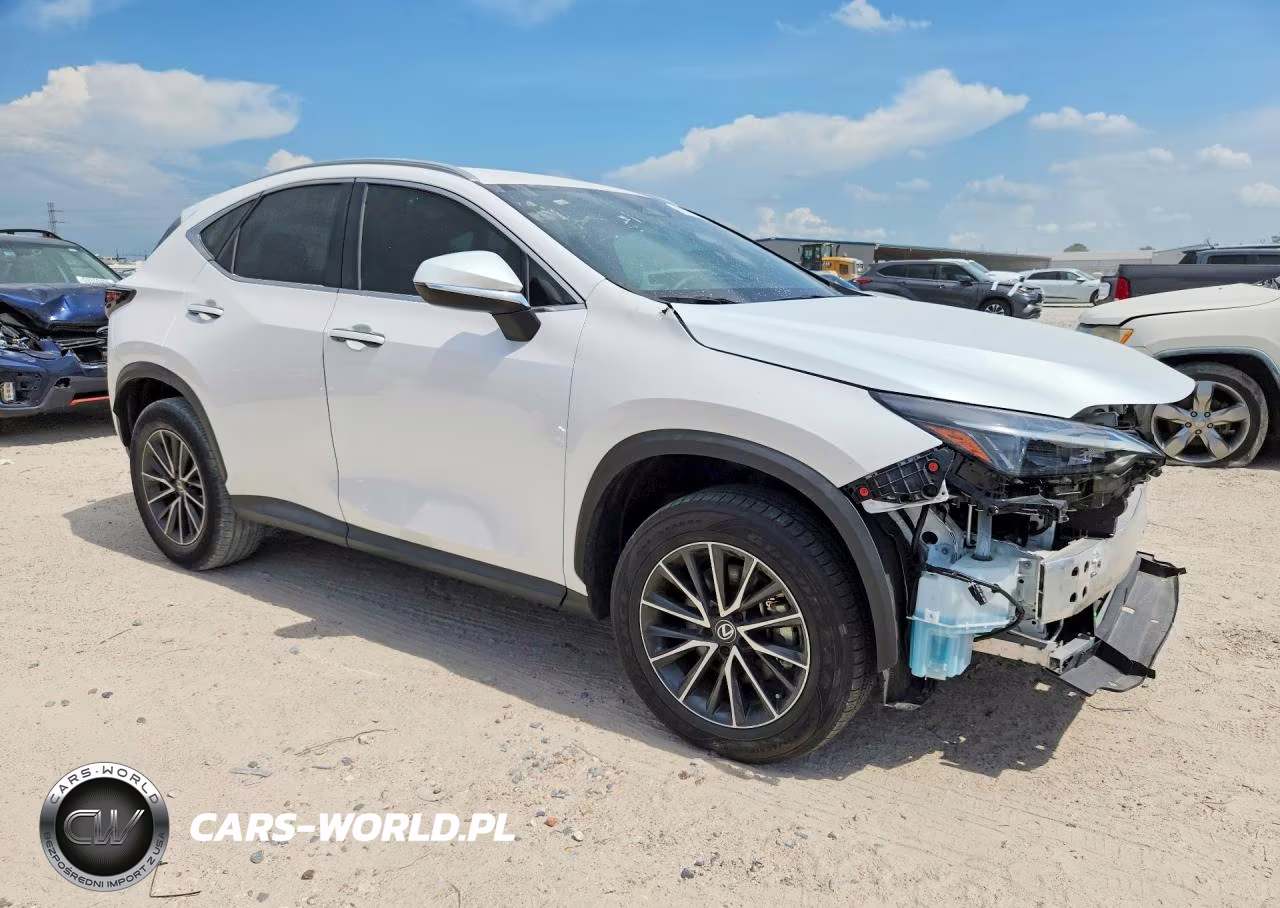 2025 Lexus Nx 250 Base VIN:2T2ADCAZ7SC018913 - 4