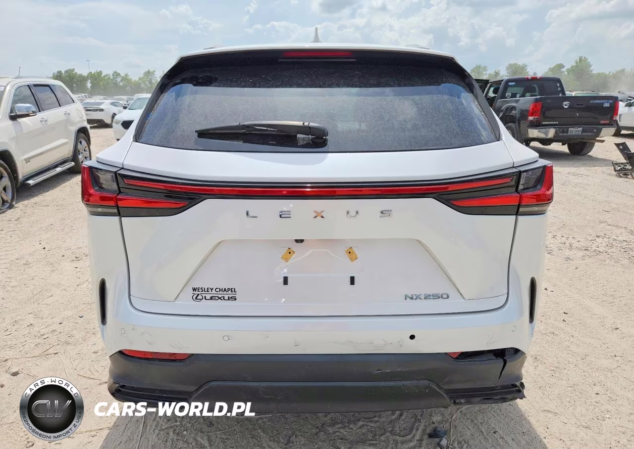 2025 Lexus Nx 250 Base VIN:2T2ADCAZ7SC018913 - 6