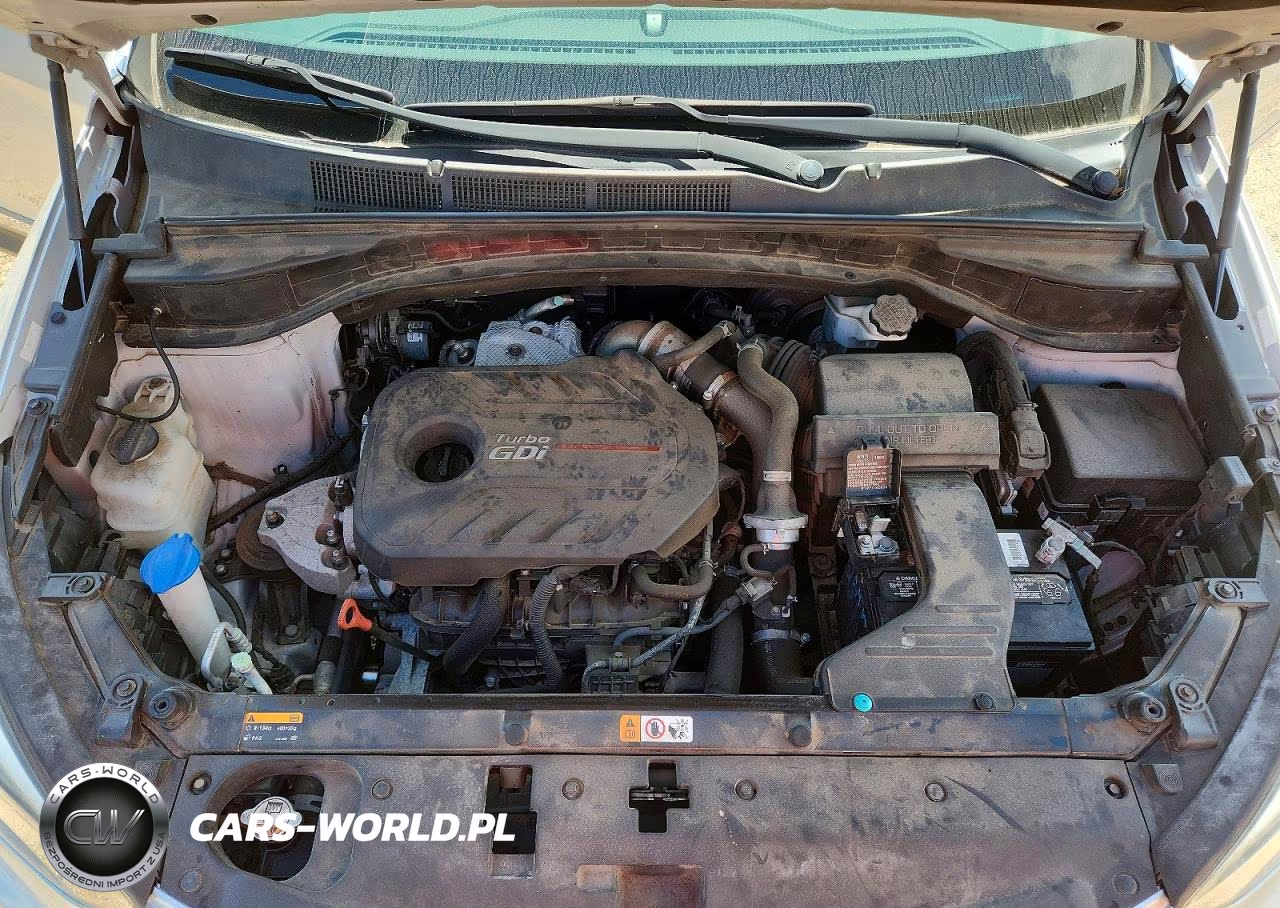 2017 Hyundai Santa Fe Sport 2.0T VIN:5XYZU3LA4HG380743 - 12