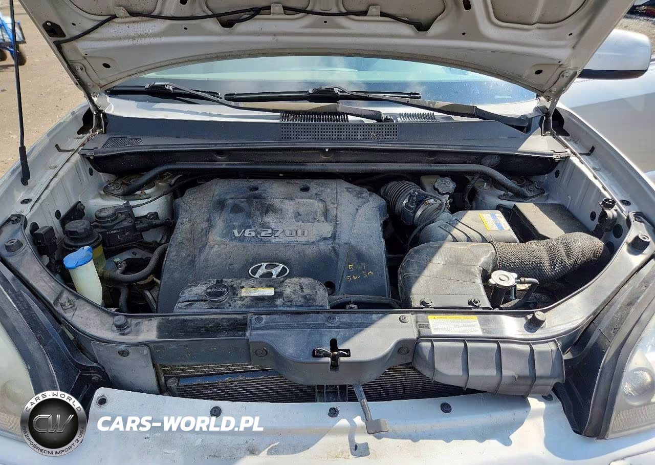 2007 Hyundai Tucson Se VIN:KM8JN72D67U612930 - 12