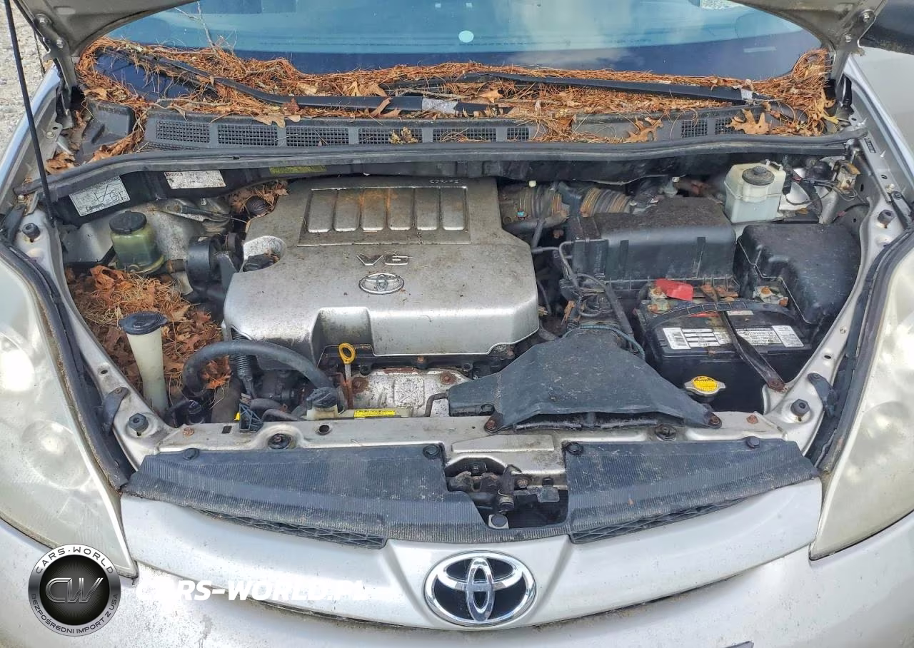 2008 Toyota Sienna Le 8-Passenger VIN:5TDZK23C18S173554 - 12