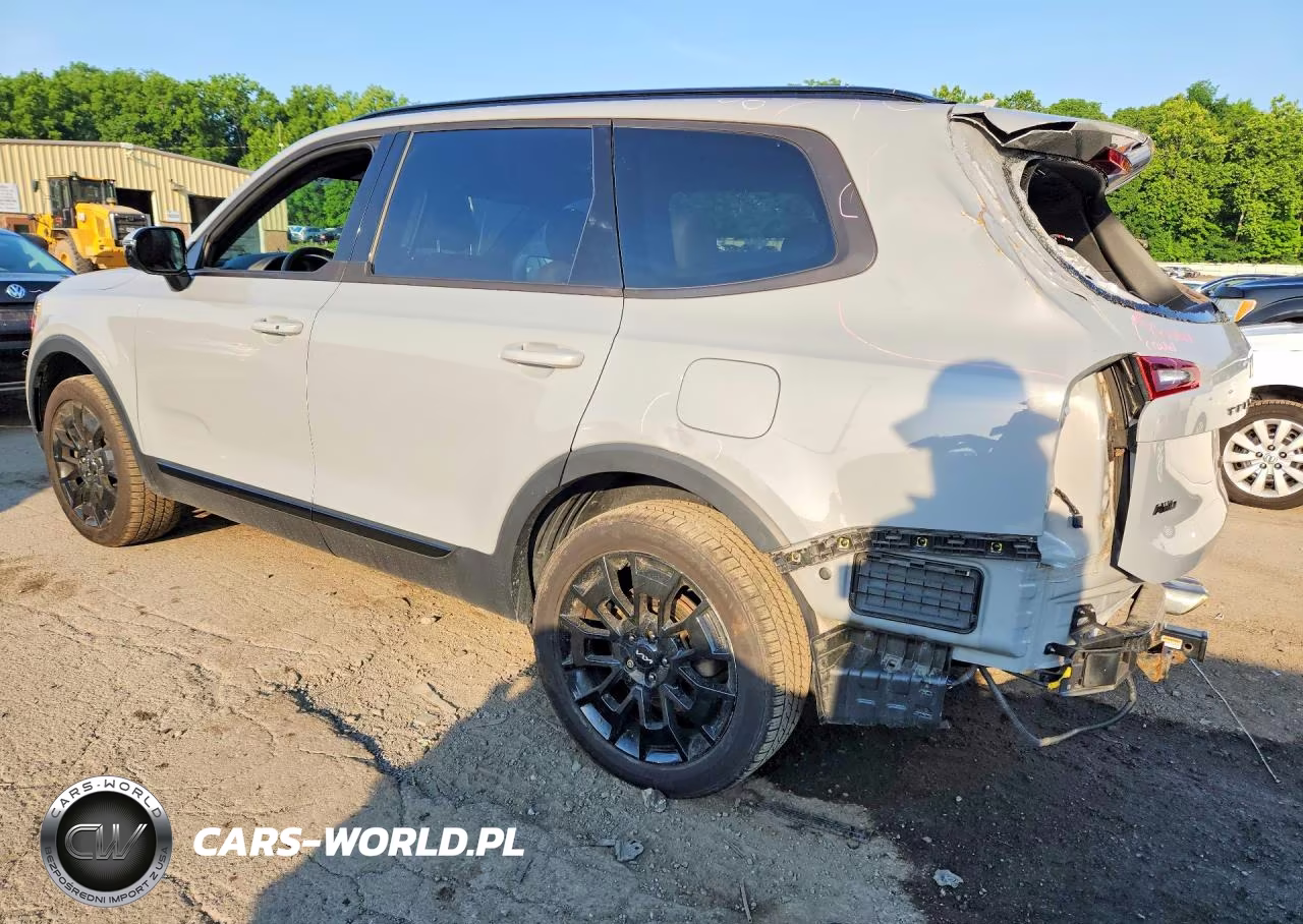 2022 Kia Telluride Sx VIN:5XYP5DHC9NG295283 - 2