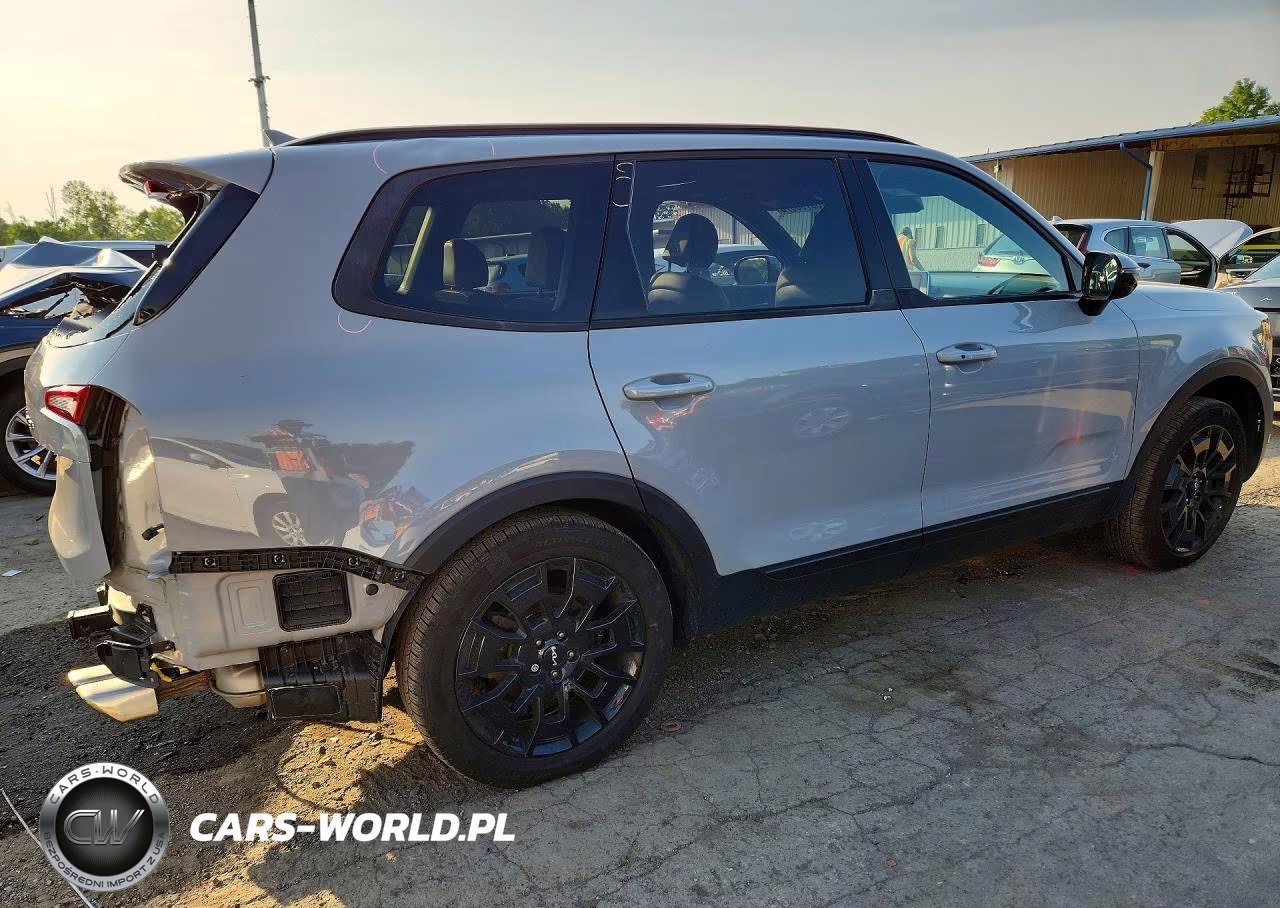 2022 Kia Telluride Sx VIN:5XYP5DHC9NG295283 - 3