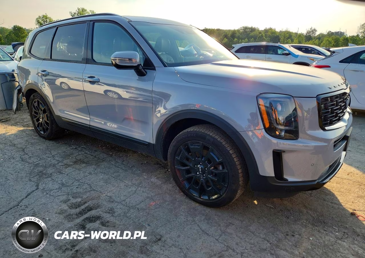 2022 Kia Telluride Sx VIN:5XYP5DHC9NG295283 - 4
