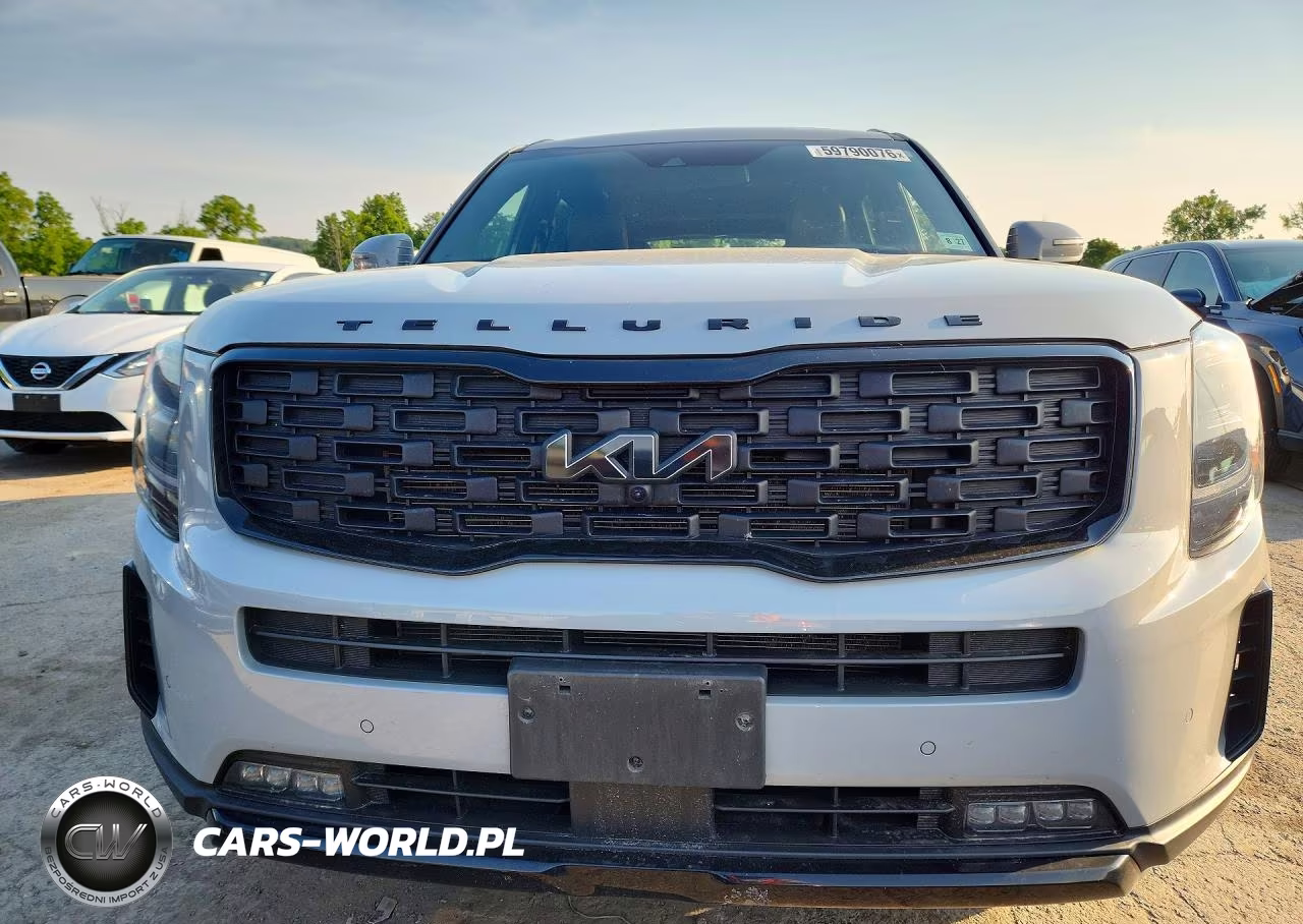2022 Kia Telluride Sx VIN:5XYP5DHC9NG295283 - 5