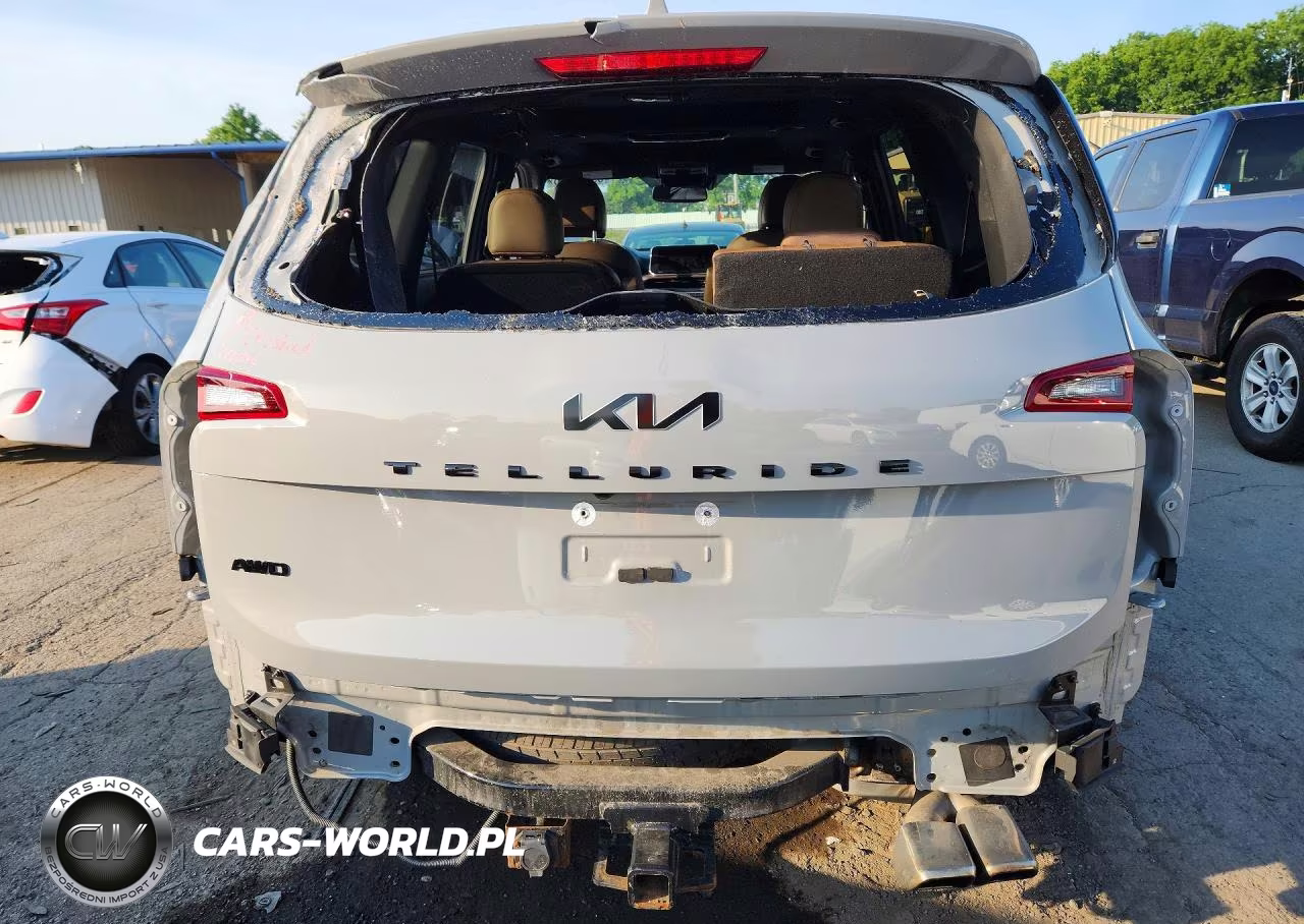 2022 Kia Telluride Sx VIN:5XYP5DHC9NG295283 - 6