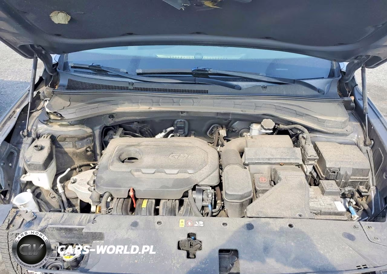 2019 Hyundai Santa Fe Sel 2.4L VIN:5NMS3CAD5KH122536 - 12