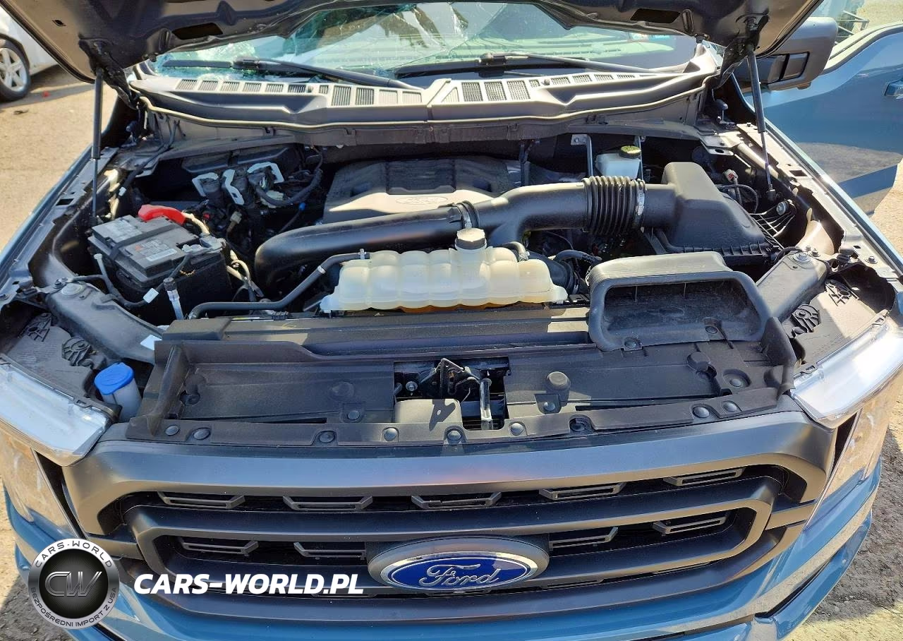2023 Ford F150 Supercrew VIN:1FTFW1E83PKE23053 - 11
