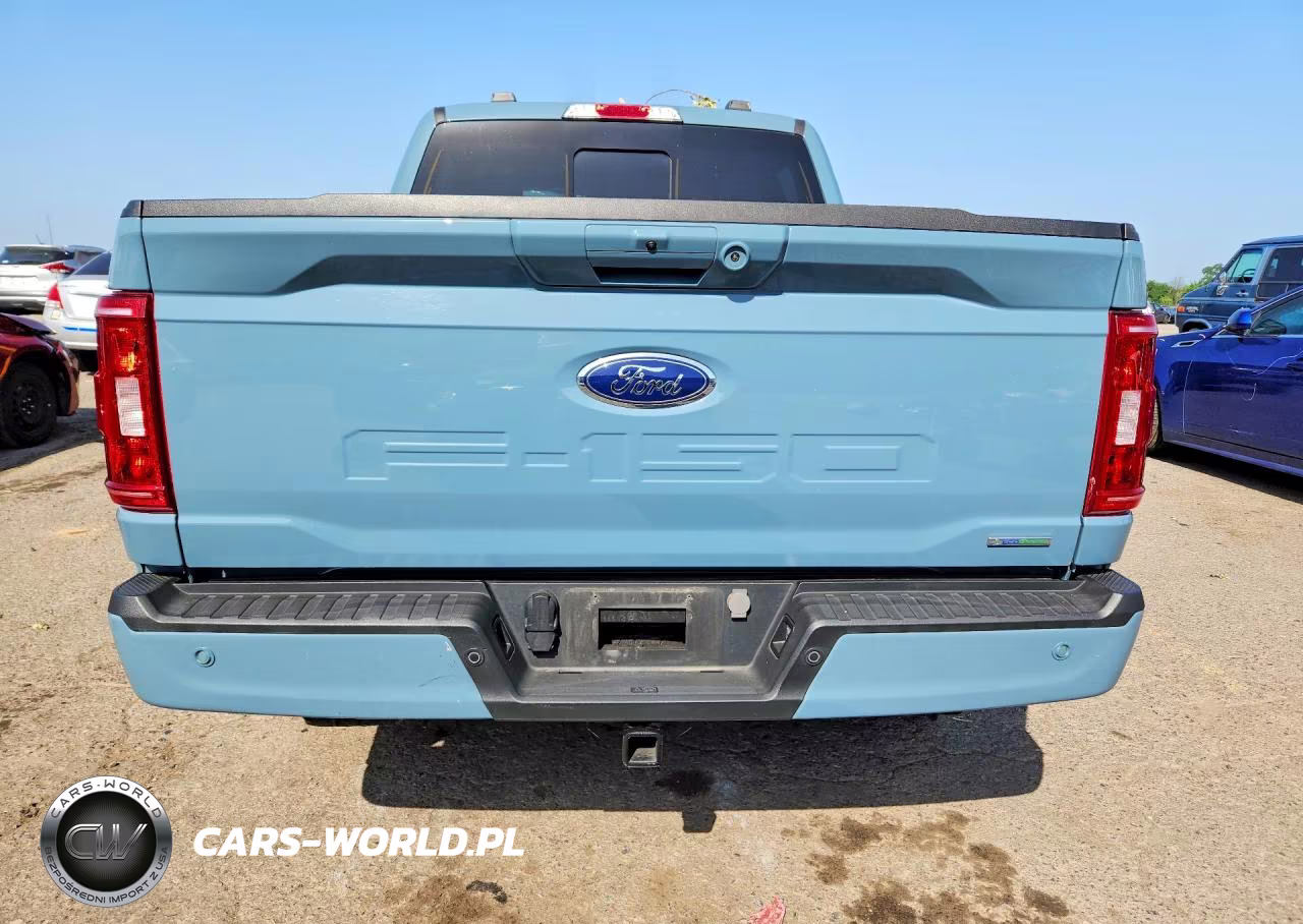 2023 Ford F150 Supercrew VIN:1FTFW1E83PKE23053 - 6