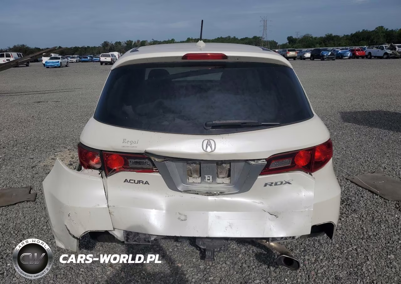 2010 Acura Rdx VIN:5J8TB1H28AA006449 - 6