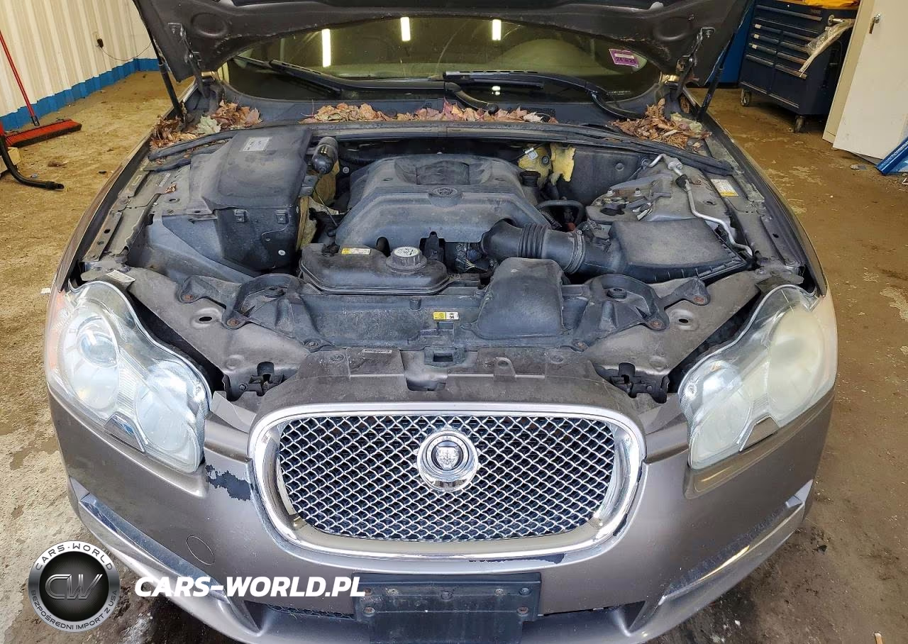 2010 Jaguar Xf Luxury VIN:SAJWA0FA6AHR59060 - 11