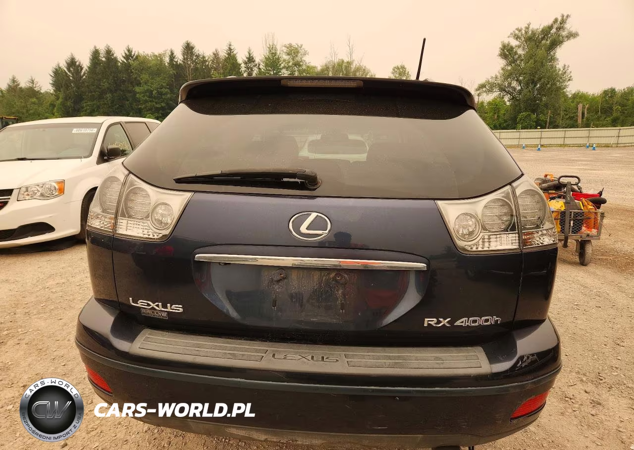 2007 Lexus Rx 400H VIN:JTJHW31U172033962 - 6