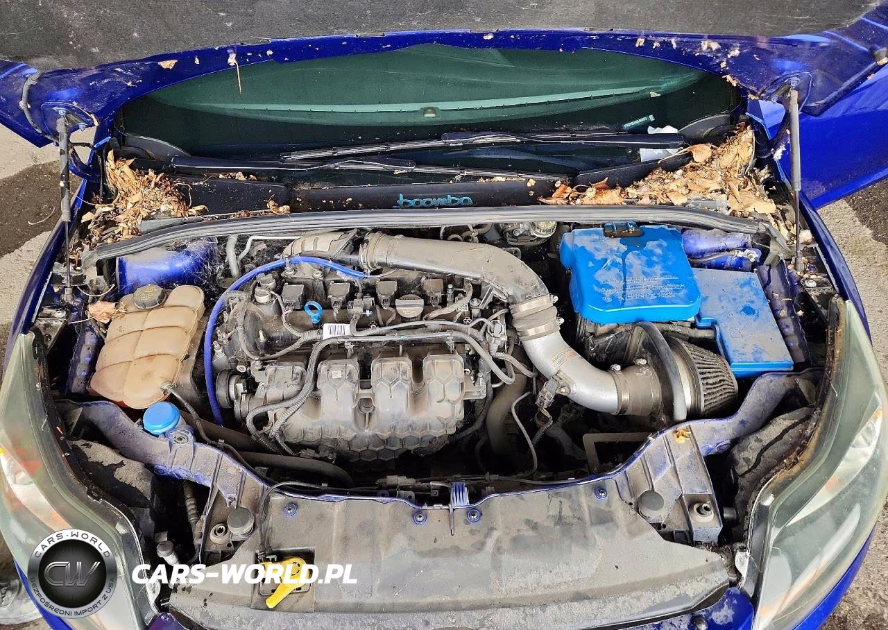 2014 Ford Focus St VIN:1FADP3L94EL460072 - 11