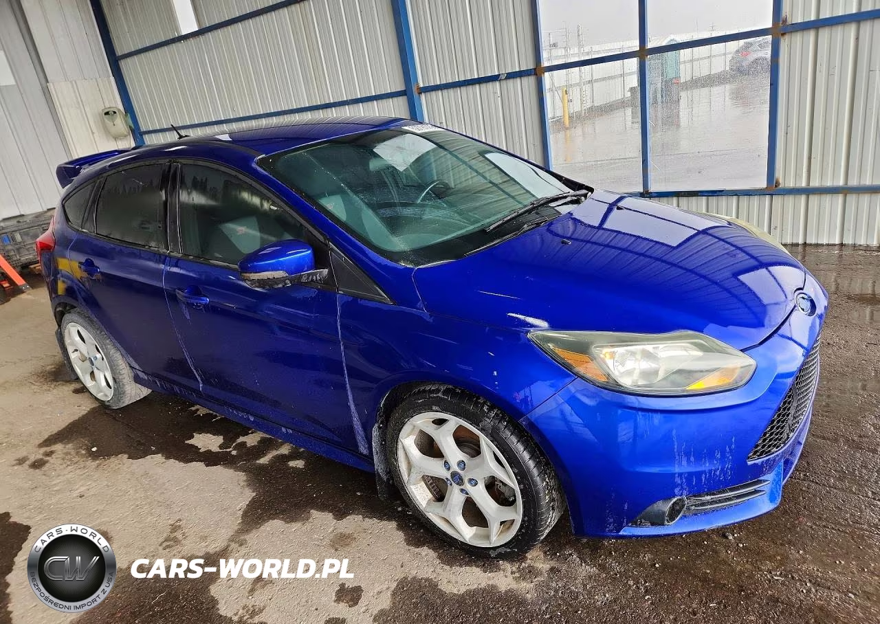 2014 Ford Focus St VIN:1FADP3L94EL460072 - 4