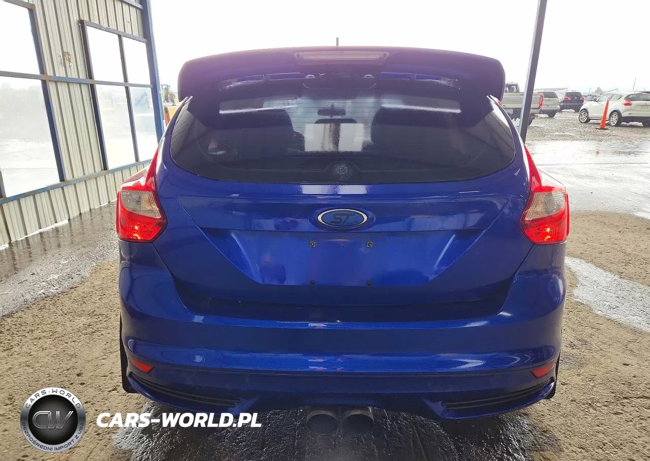 2014 Ford Focus St VIN:1FADP3L94EL460072 - 6