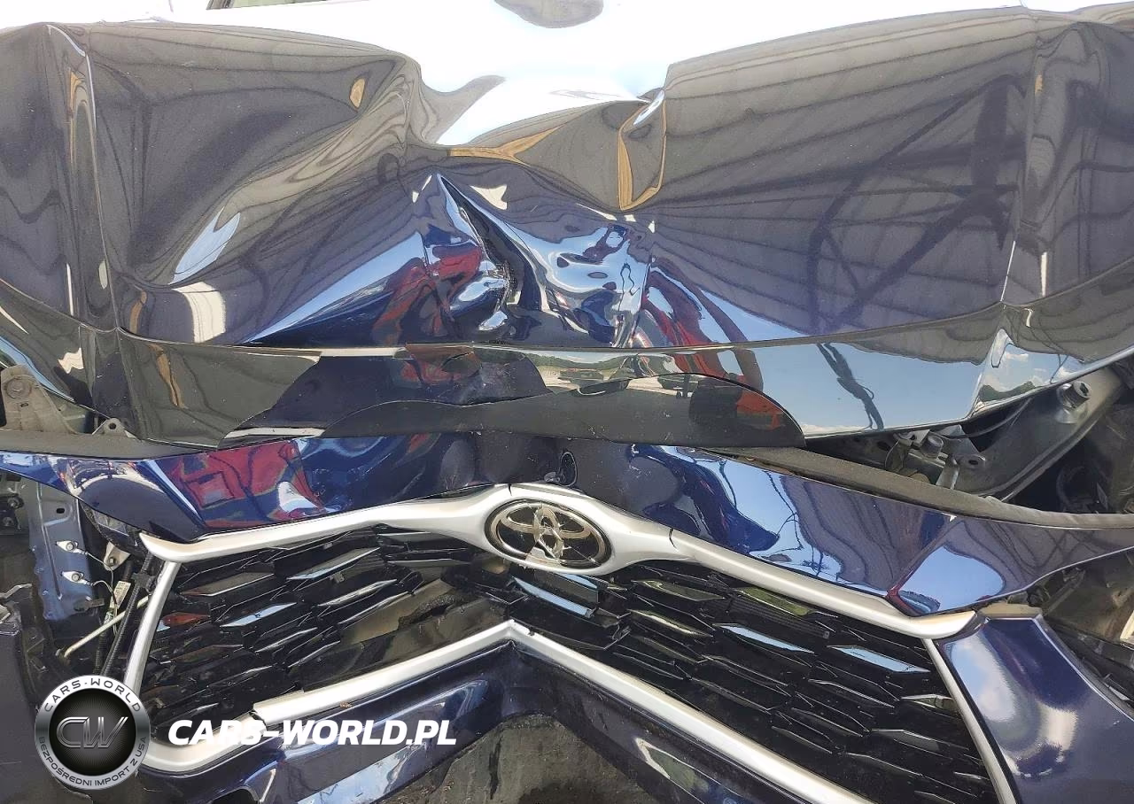 2023 Toyota Highlander Xle VIN:5TDKDRAH8PS012863 - 11