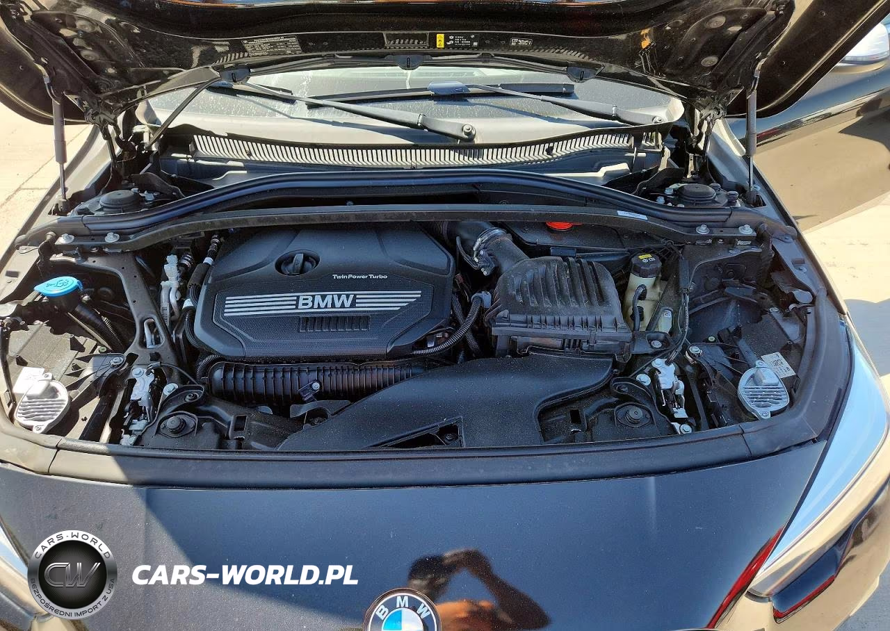 2021 BMW 228I VIN:WBA53AK05M7H95530 - 11