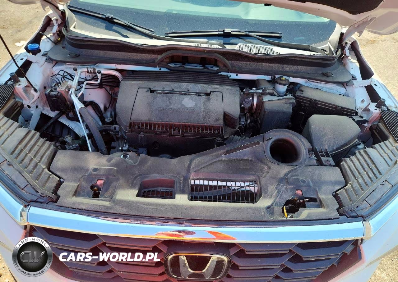 2024 Honda Pilot Exl VIN:5FNYG2H52RB003300 - 12