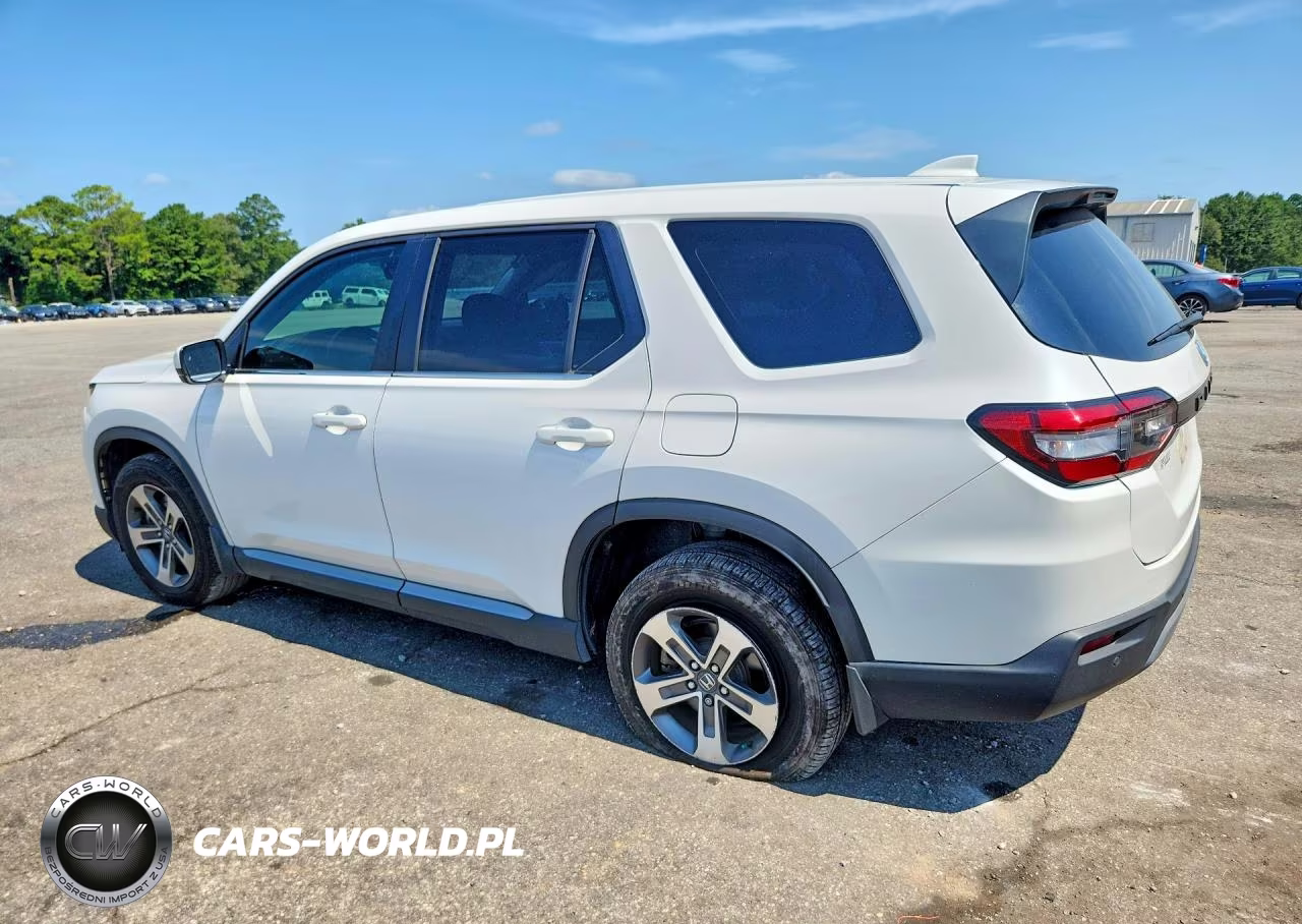 2024 Honda Pilot Exl VIN:5FNYG2H52RB003300 - 2