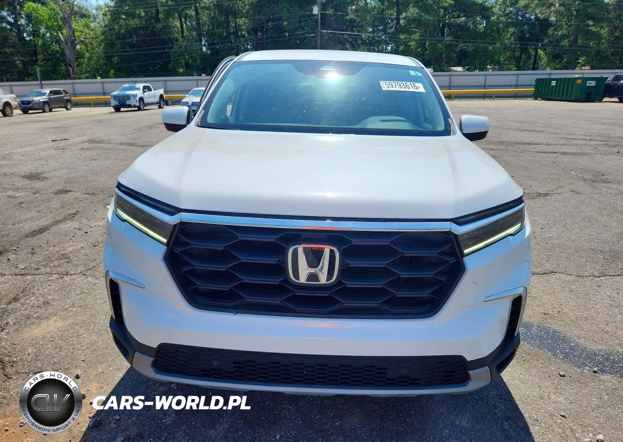 2024 Honda Pilot Exl VIN:5FNYG2H52RB003300 - 5