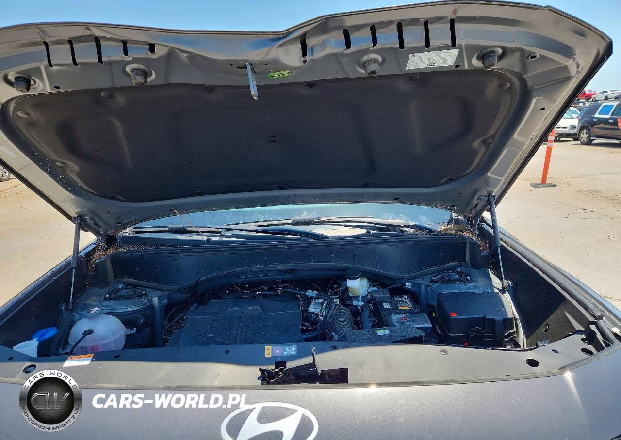 2026 Hyundai Palisade Calligraphy VIN:KM8RMES22TU065481 - 12