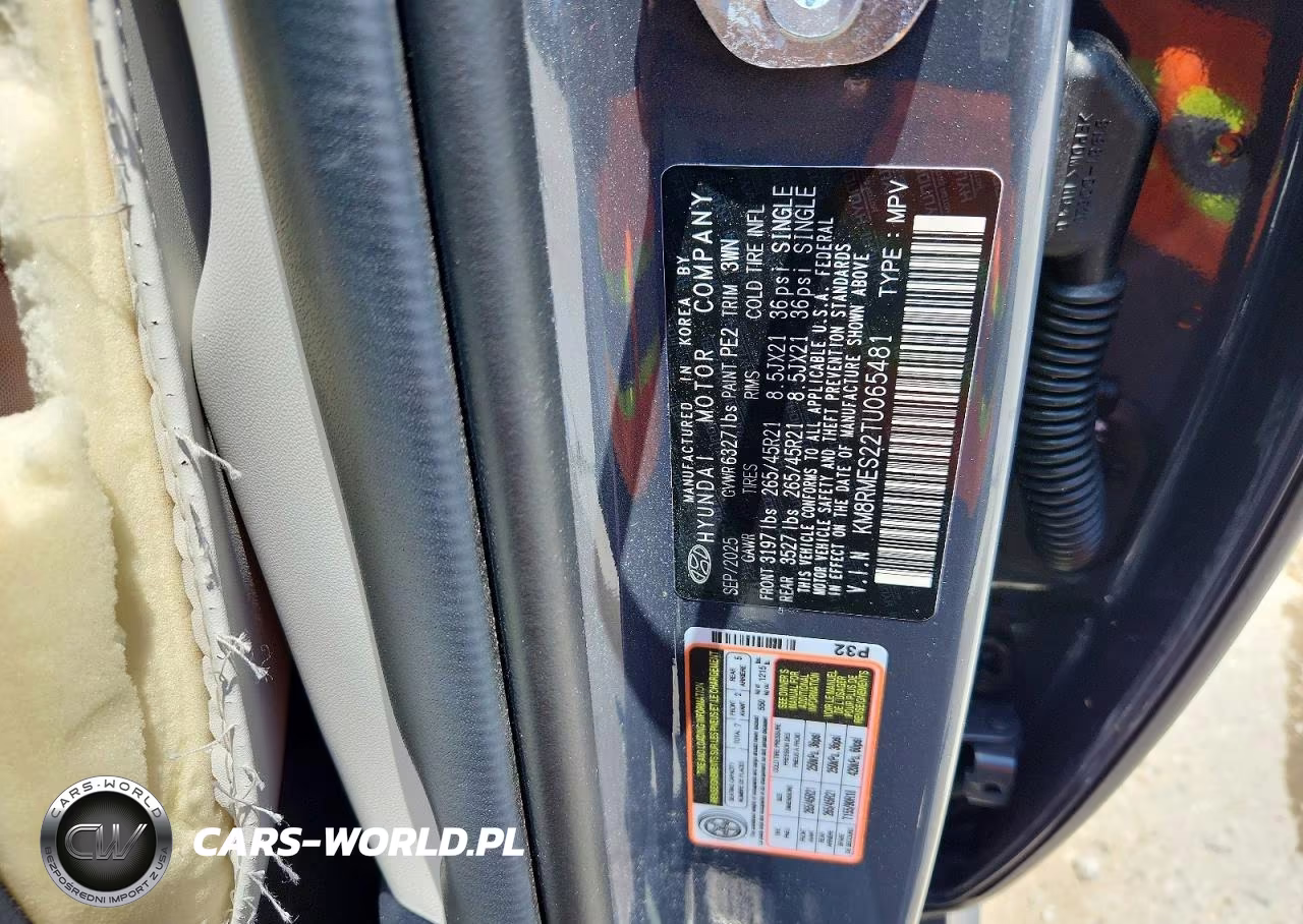 2026 Hyundai Palisade Calligraphy VIN:KM8RMES22TU065481 - 13
