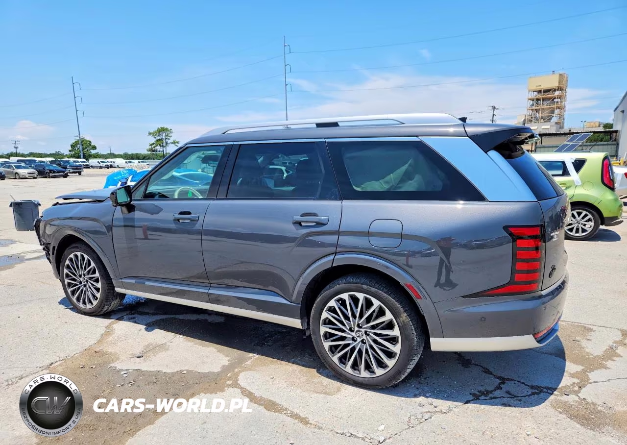 2026 Hyundai Palisade Calligraphy VIN:KM8RMES22TU065481 - 2