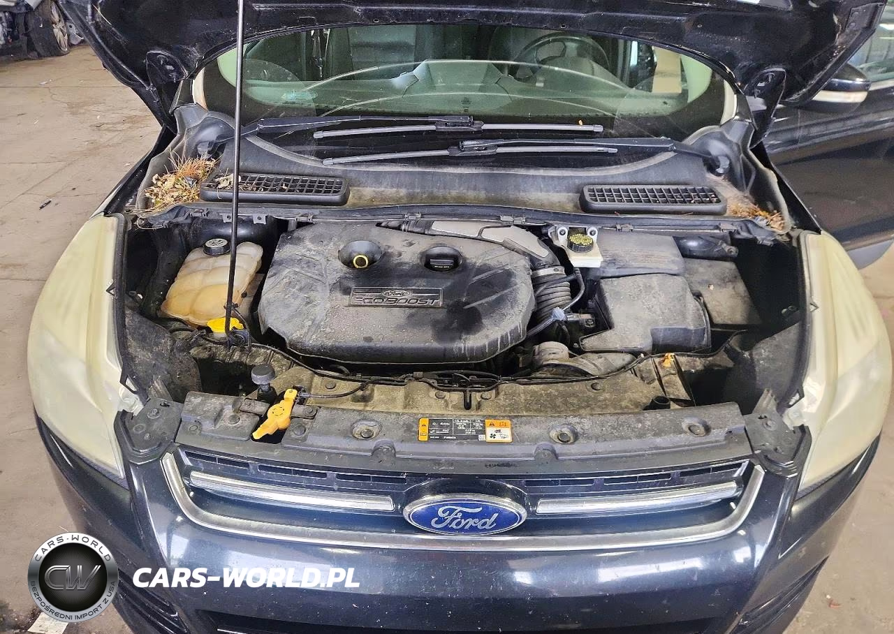 2013 Ford Escape Sel VIN:1FMCU9H93DUA34839 - 12