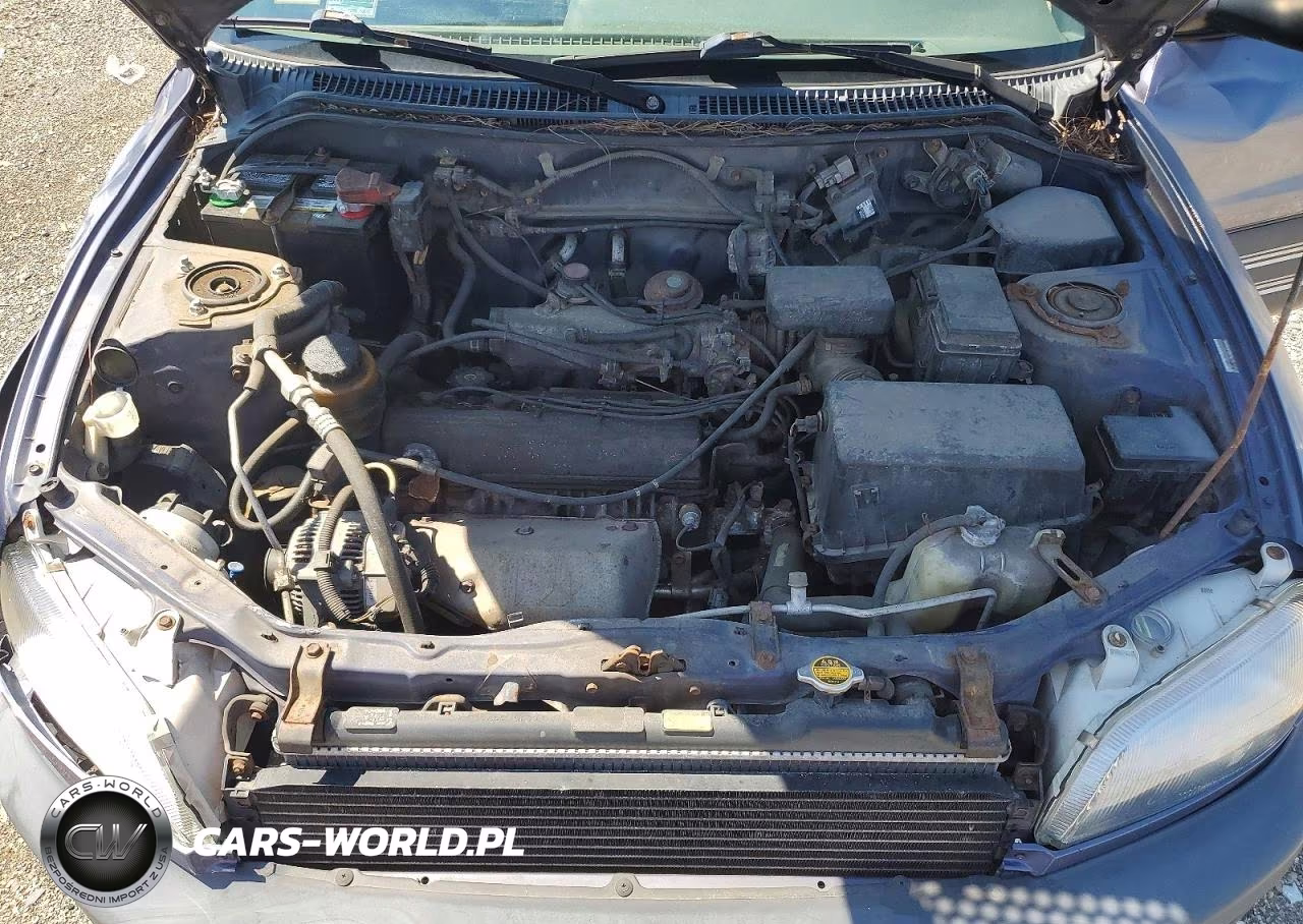 1997 Toyota Rav4 Base VIN:JT3HP10V7V7022886 - 12