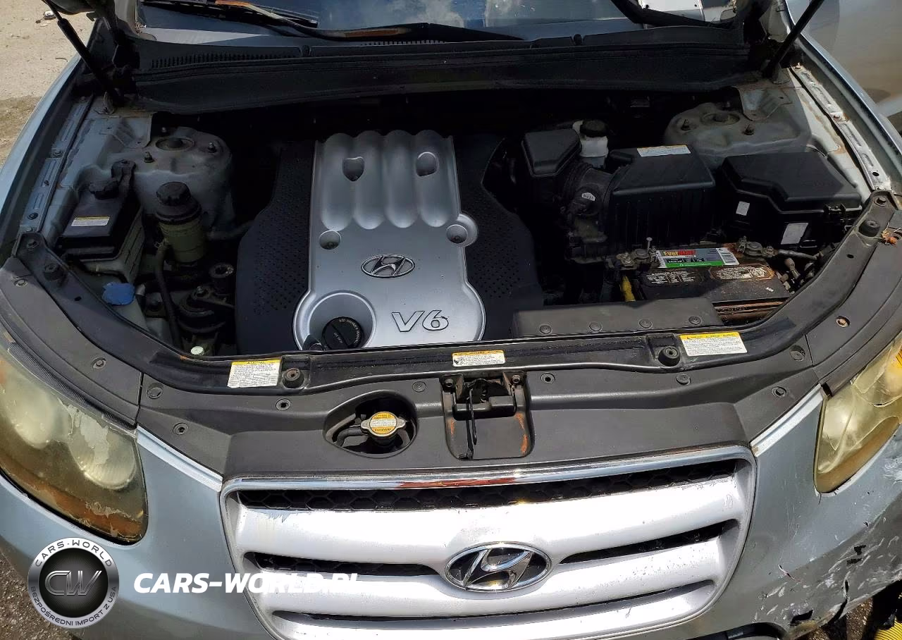 2007 Hyundai Santa Fe Gls VIN:5NMSG73D07H068546 - 12