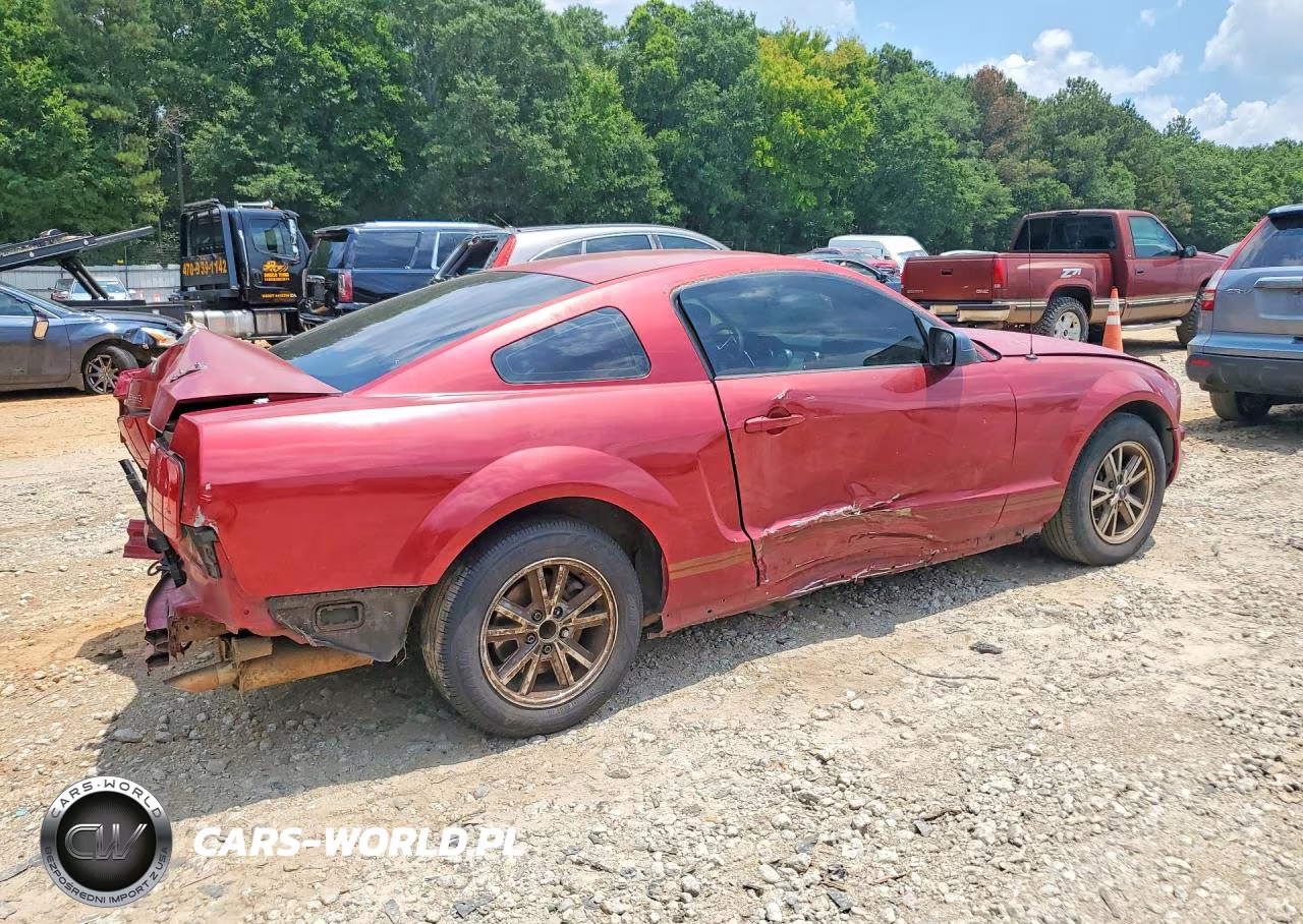 2005 Ford Mustang VIN:1ZVFT80N255103987 - 3