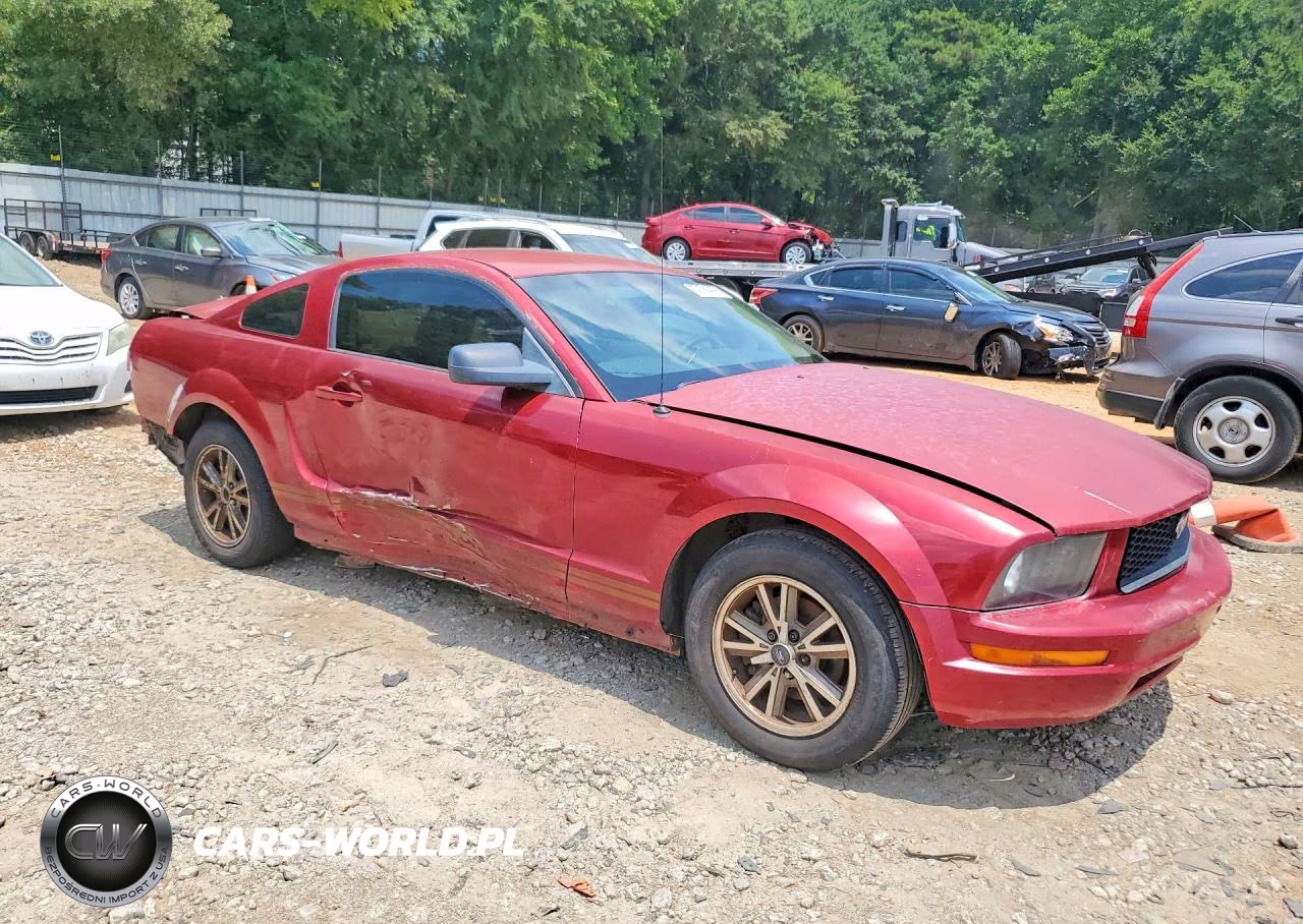 2005 Ford Mustang VIN:1ZVFT80N255103987 - 4