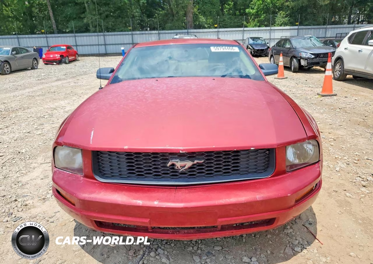 2005 Ford Mustang VIN:1ZVFT80N255103987 - 5