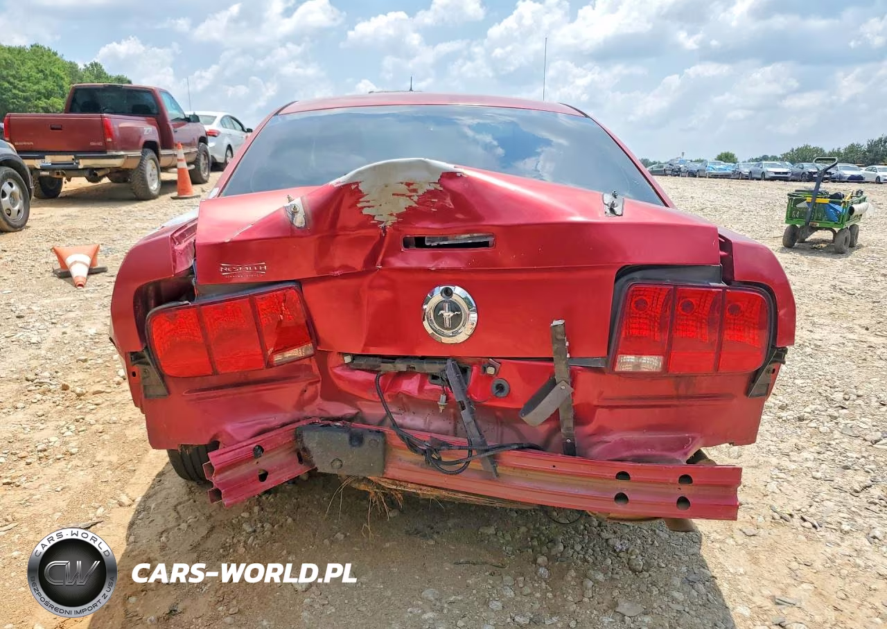 2005 Ford Mustang VIN:1ZVFT80N255103987 - 6