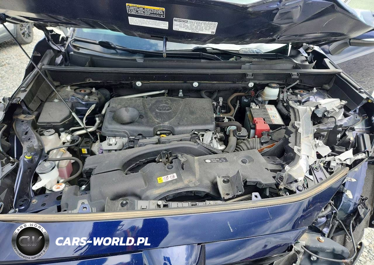 2019 Toyota Rav4 Xle VIN:JTMP1RFV0KD006220 - 12