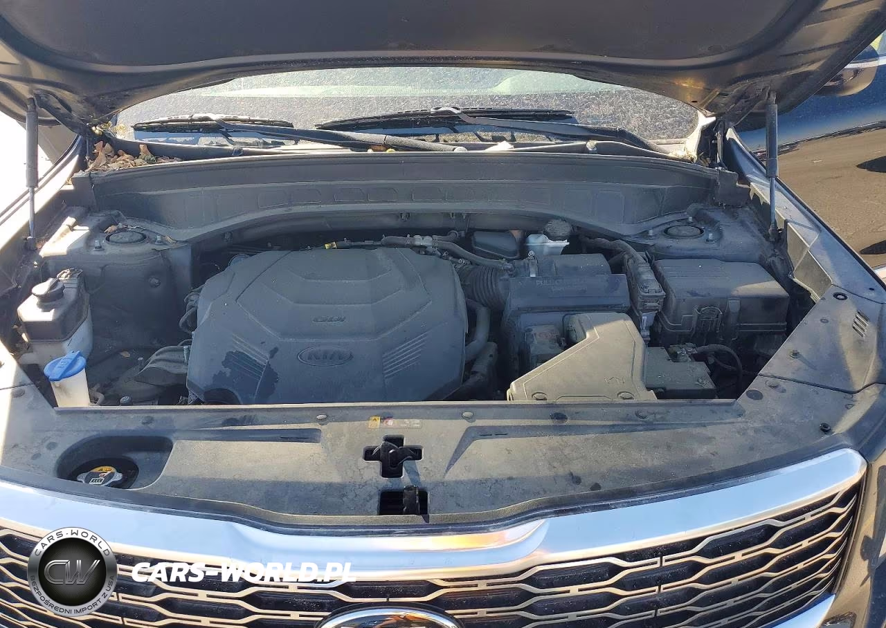 2020 Kia Telluride S VIN:5XYP6DHC1LG002888 - 12