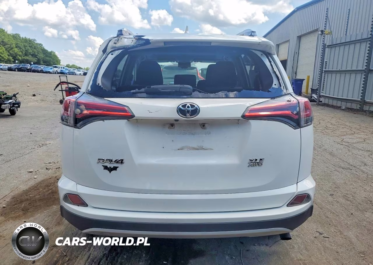 2017 Toyota Rav4 Xle VIN:2T3RFREV7HW554688 - 6
