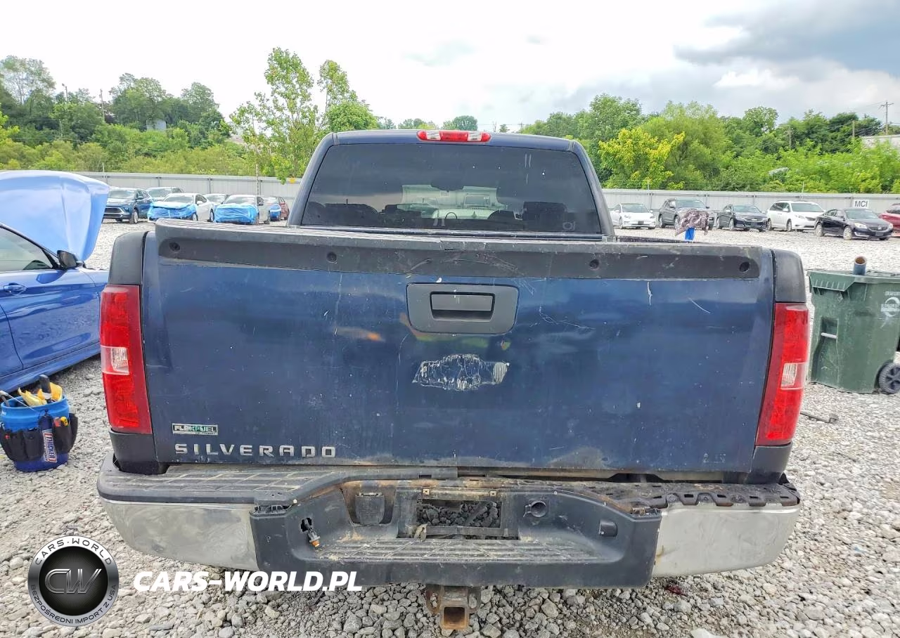 2010 Chevrolet Silverado K1500 Ls VIN:1GCSKREA4AZ236236 - 6