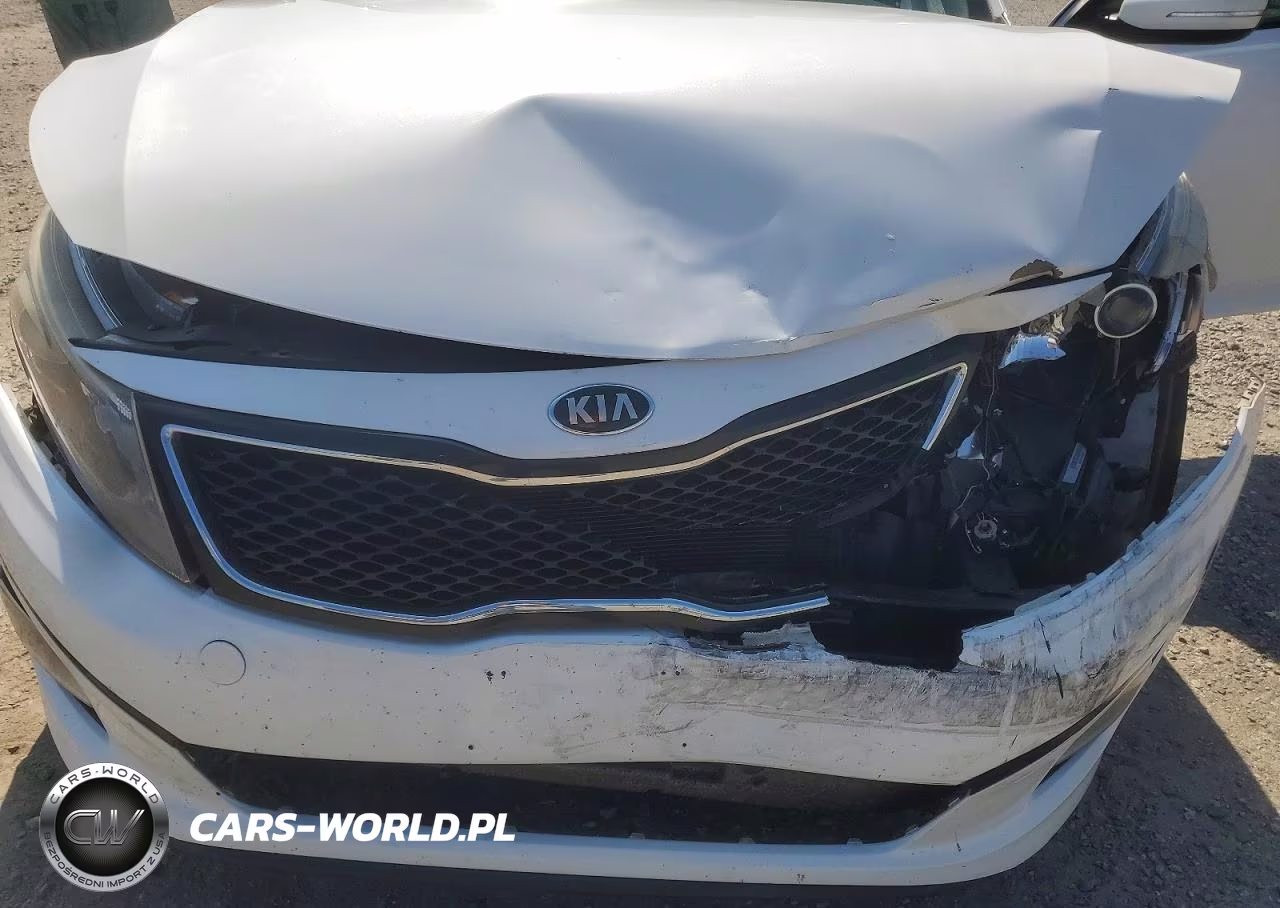 2015 Kia Optima Lx VIN:KNAGM4A71F5649675 - 11