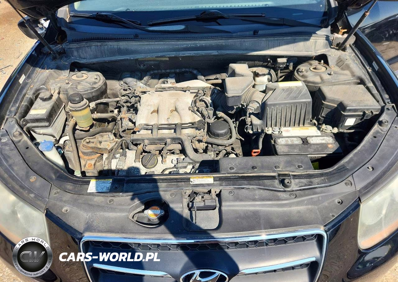 2008 Hyundai Santa Fe Se VIN:5NMSH13E18H221147 - 11