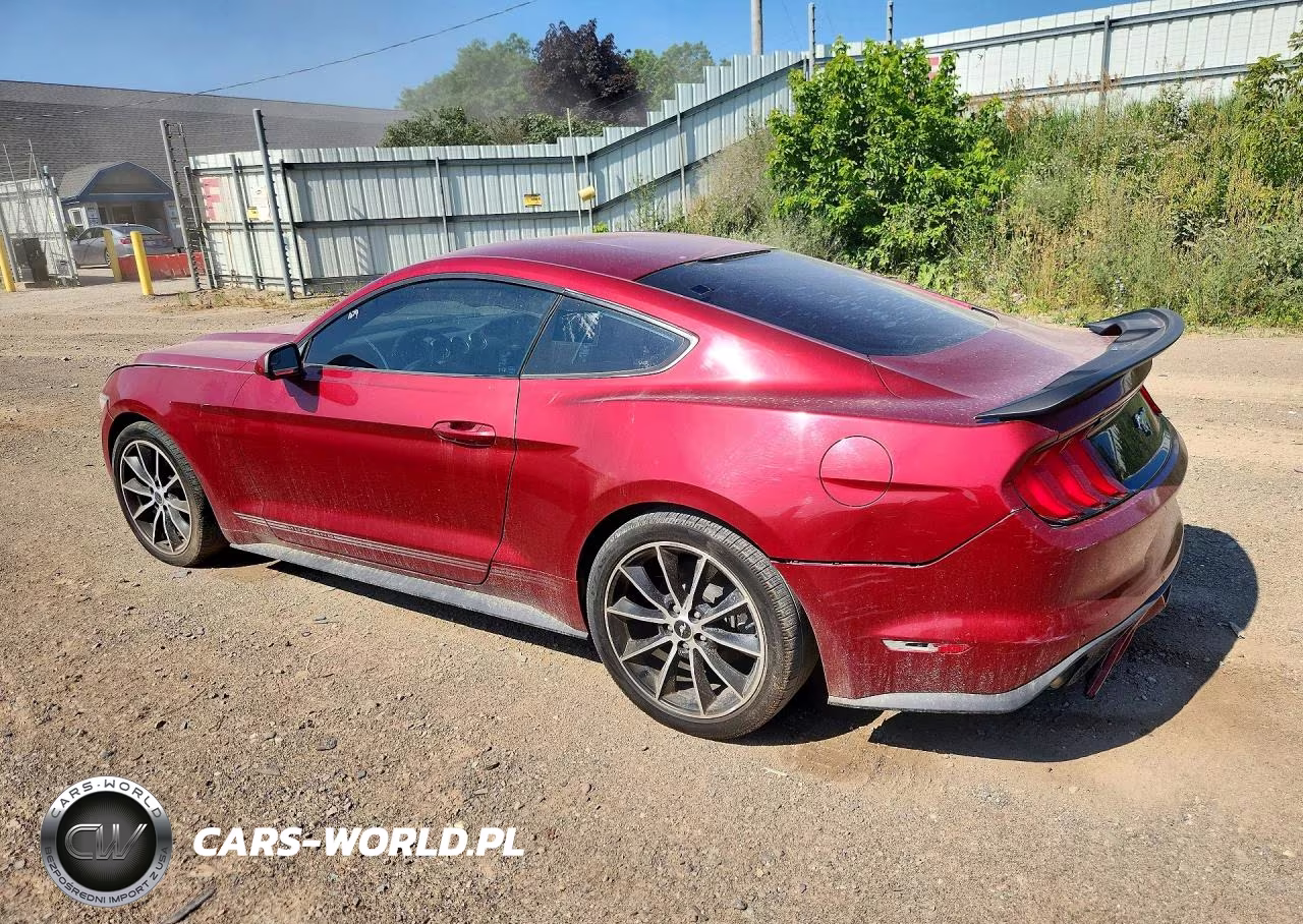 2015 Ford Mustang VIN:1FA6P8THXF5318618 - 2