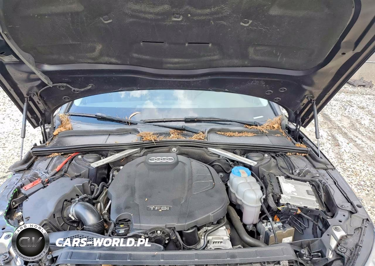 2018 Audi A4 Premium Plus VIN:WAULMAF45JA212936 - 11