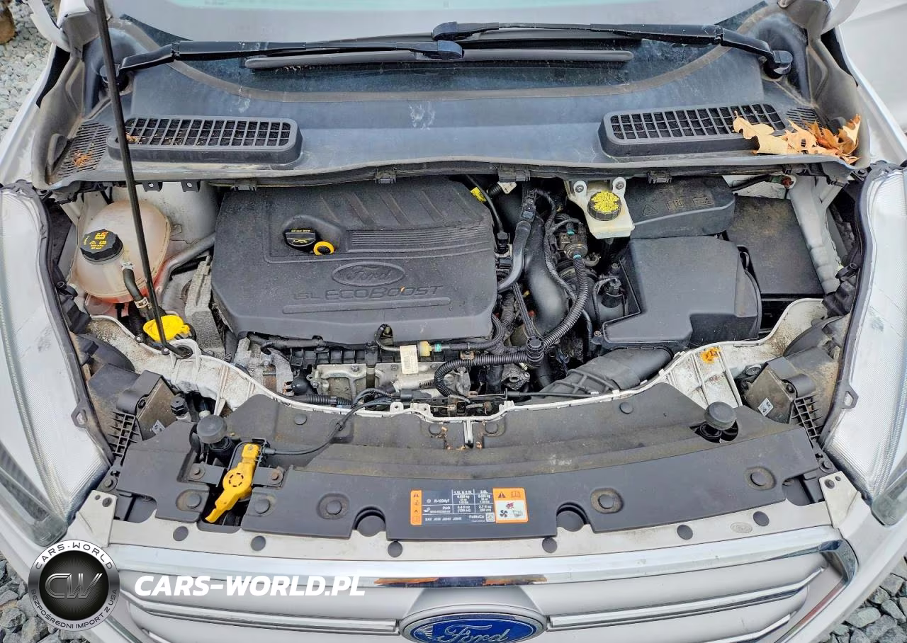 2017 Ford Escape VIN:1FMCU0GD8HUB76188 - 12