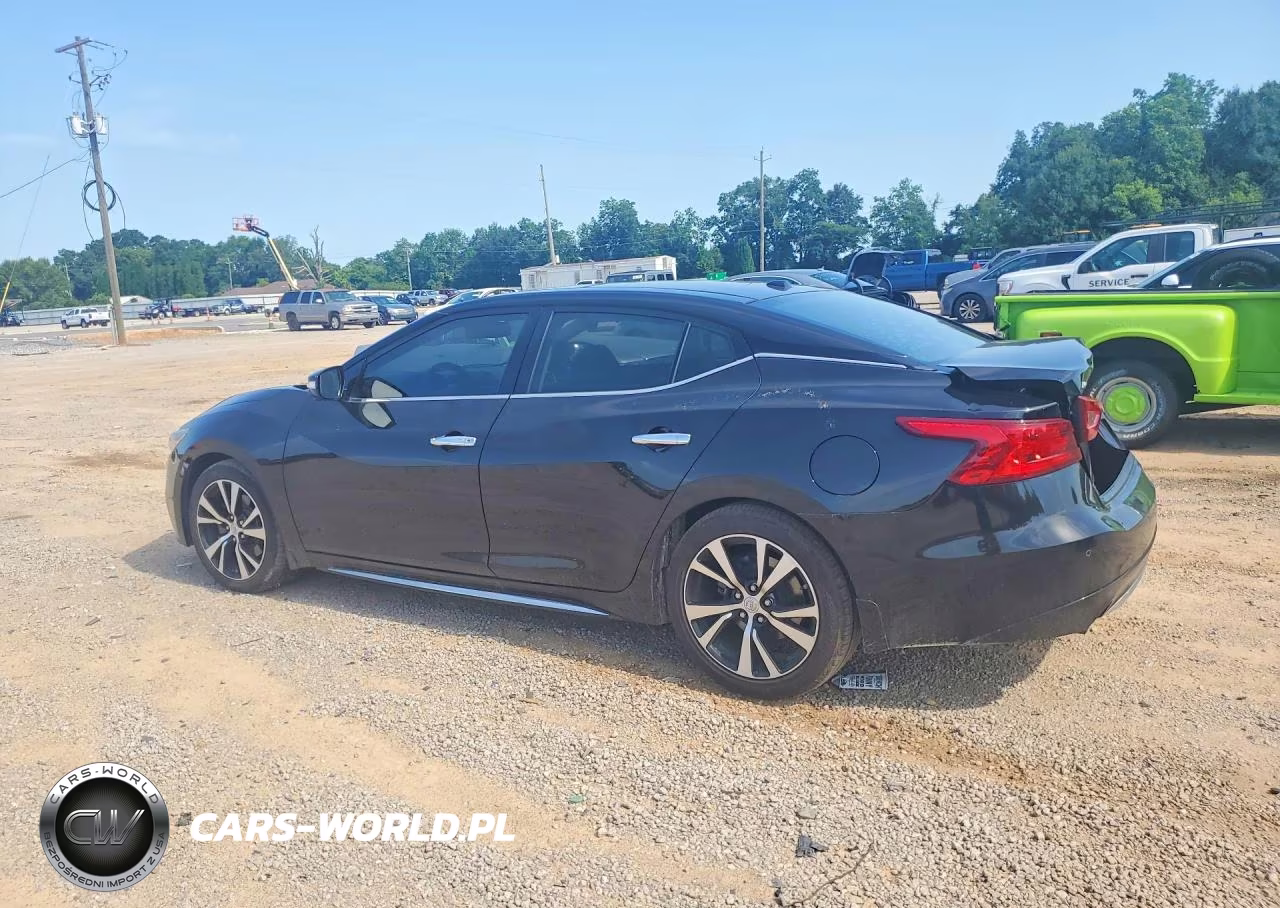 2018 Nissan Maxima Platinum VIN:1N4AA6AP6JC369158 - 2