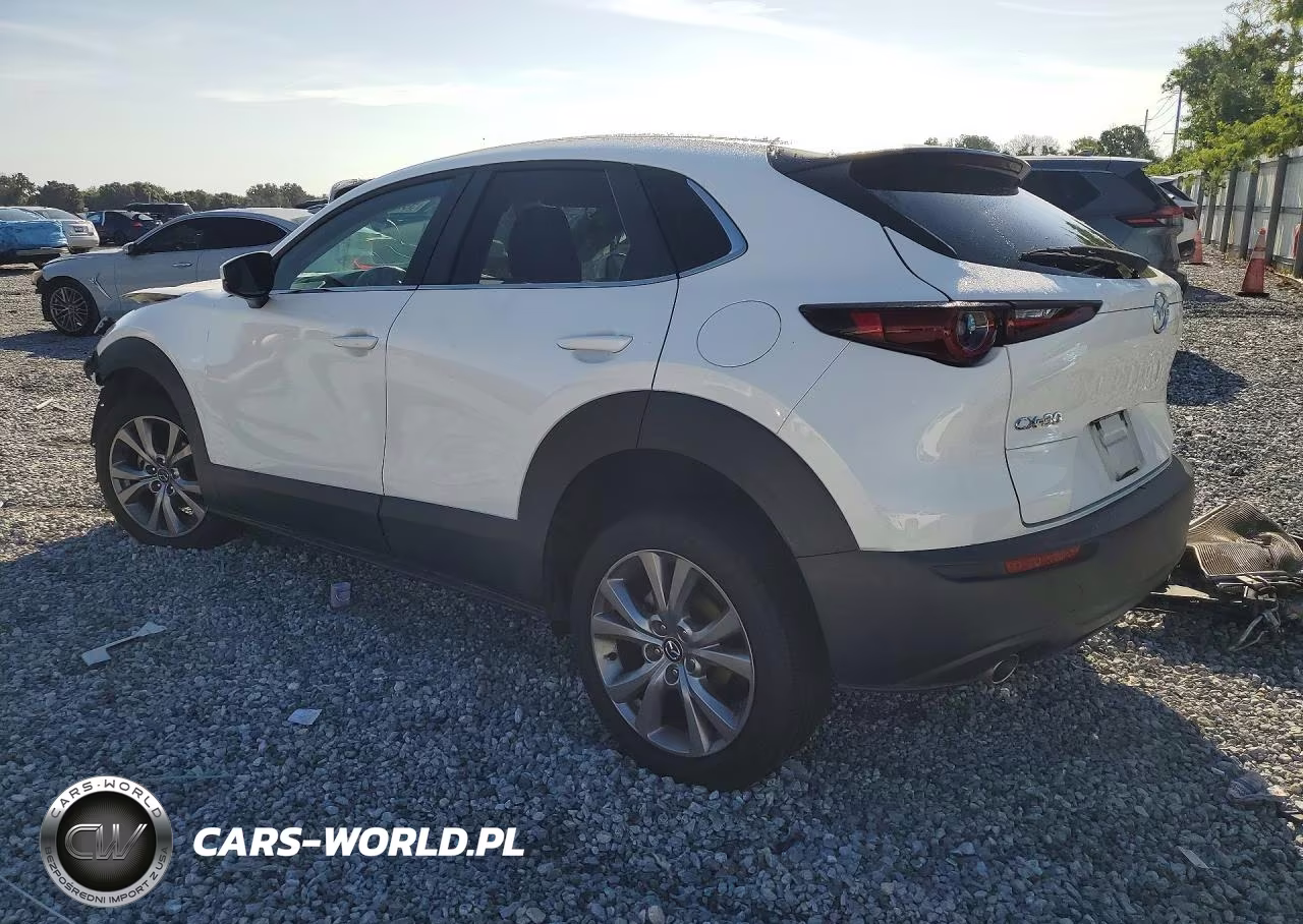 2020 Mazda Cx-30 Select VIN:3MVDMACL4LM135175 - 2