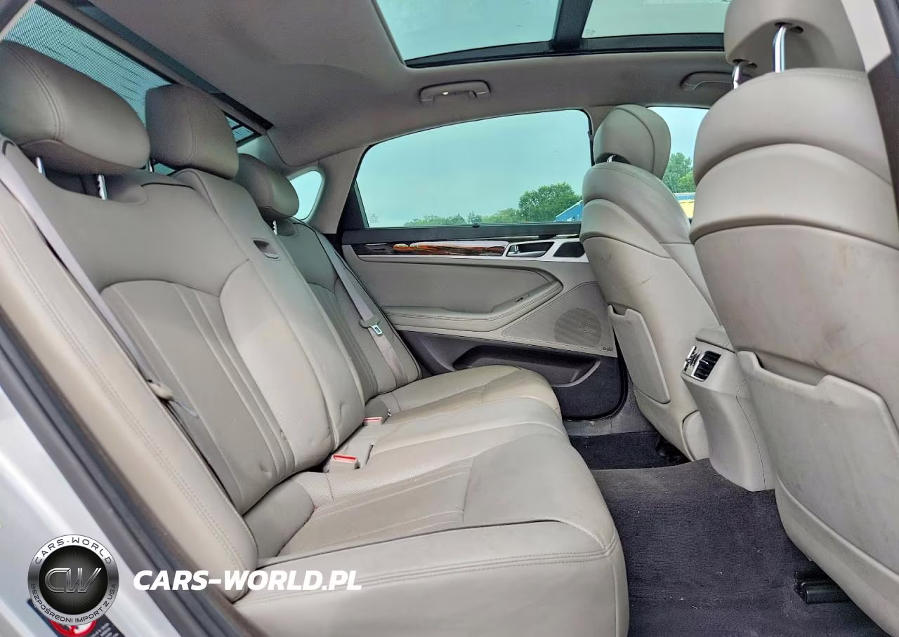 2015 Hyundai Genesis 3.8L VIN:KMHGN4JEXFU039113 - 10