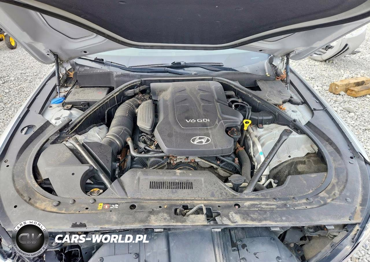 2015 Hyundai Genesis 3.8L VIN:KMHGN4JEXFU039113 - 11