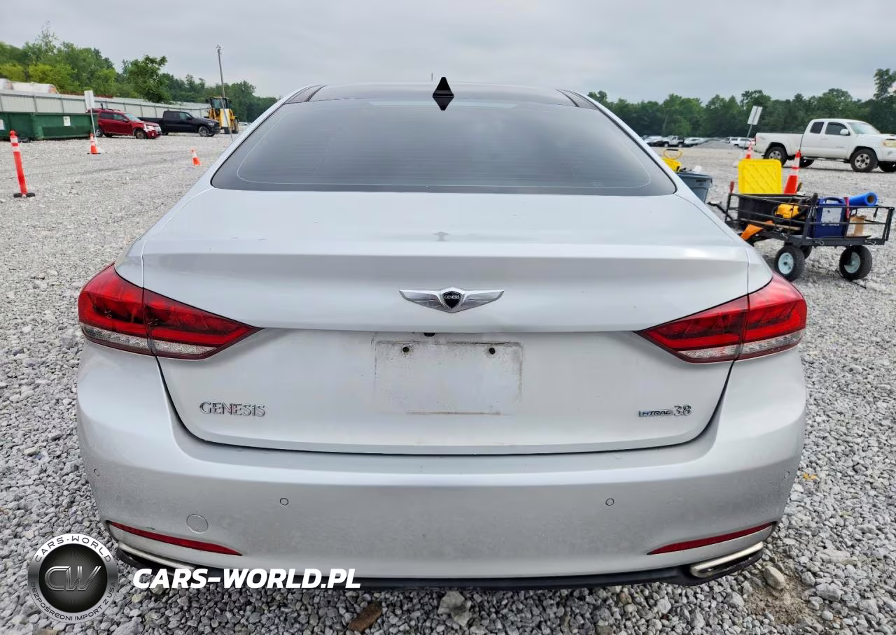 2015 Hyundai Genesis 3.8L VIN:KMHGN4JEXFU039113 - 6