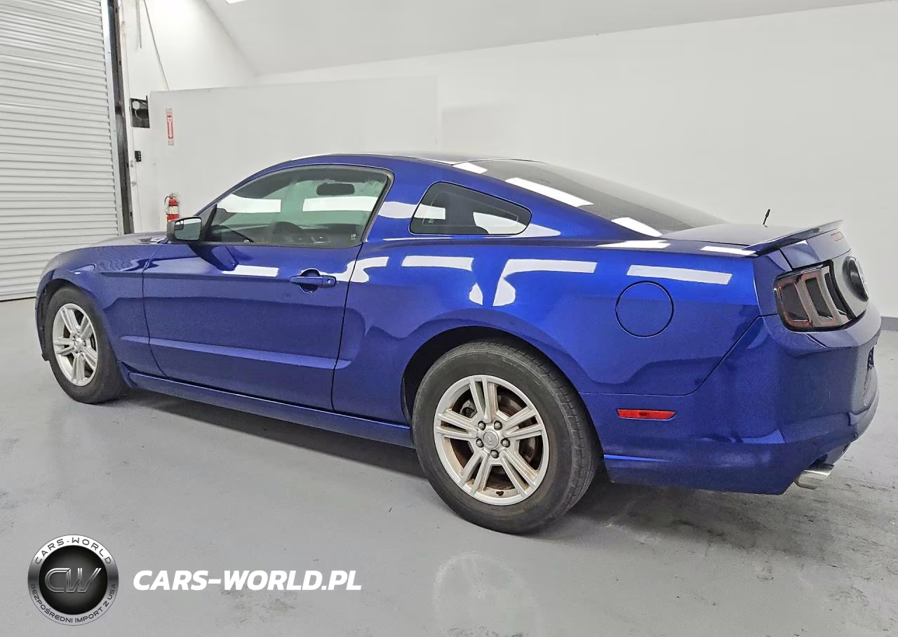 2013 Ford Mustang VIN:1ZVBP8AM9D5281824 - 2