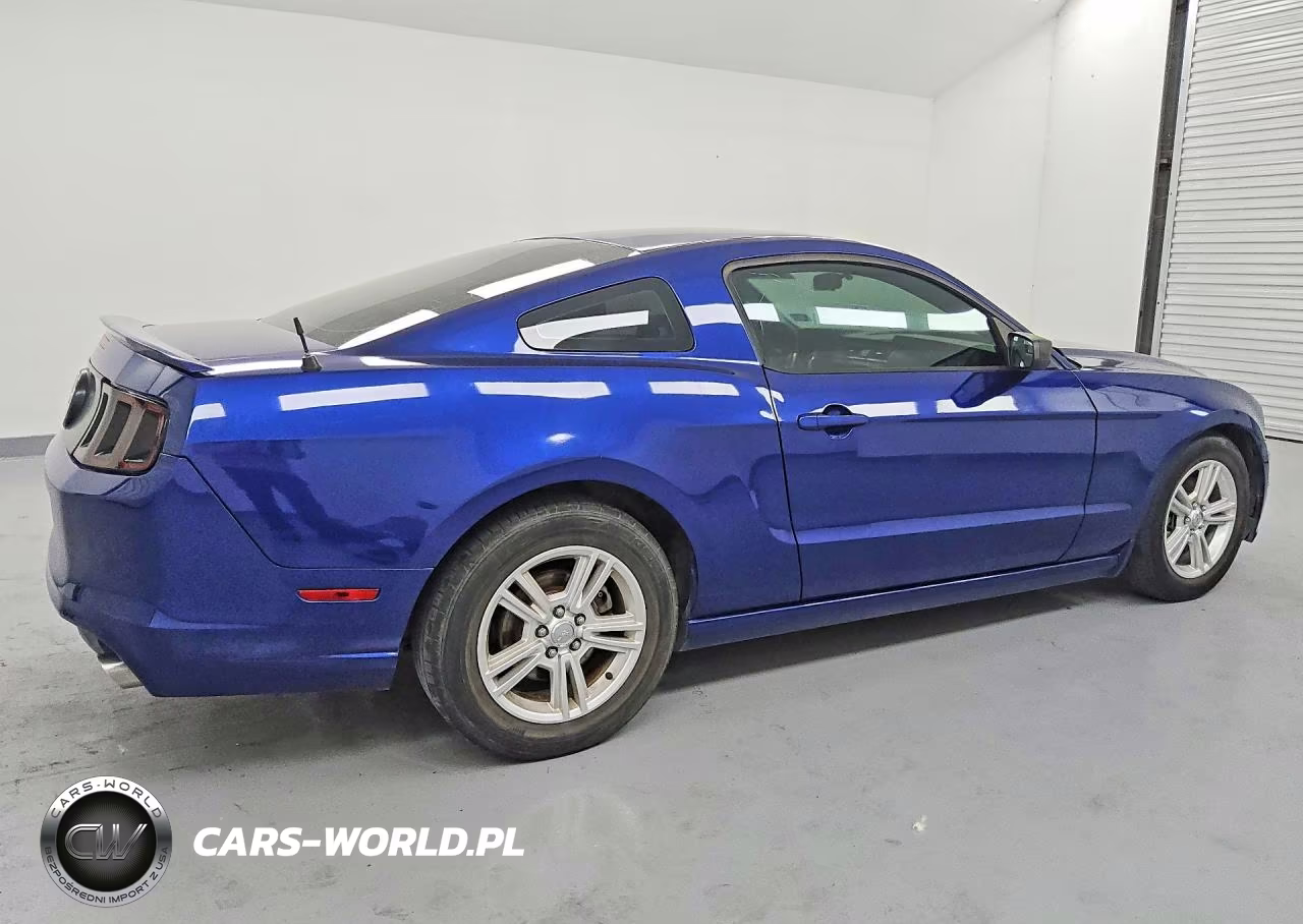 2013 Ford Mustang VIN:1ZVBP8AM9D5281824 - 3